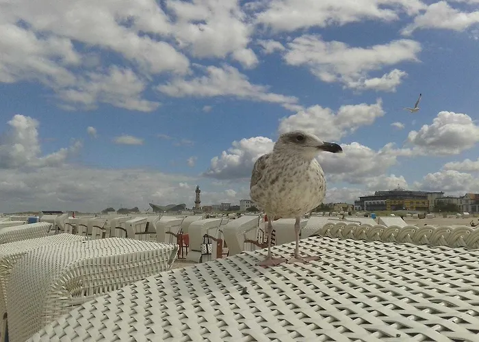 Warnemuende Objekt アパート *